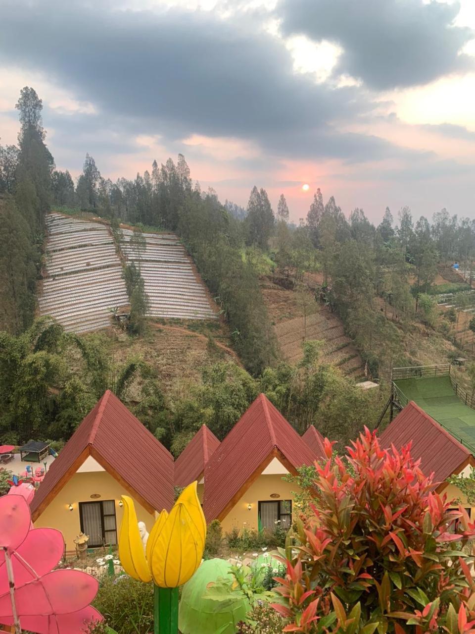 Hotel Nature Bromo And Resort Pasuruan Exterior foto