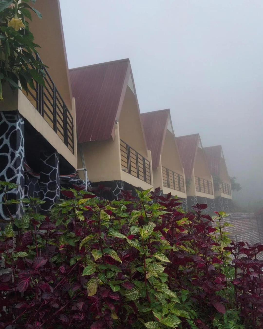 Hotel Nature Bromo And Resort Pasuruan Exterior foto